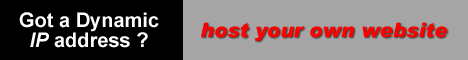 tzo dns service